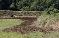 Imagen de unos lodos de depuradora fresados con tractor en una finca privada de Xavi�a.