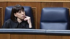 La ministra de Ciencia e Innovaci�n, Diana Morant