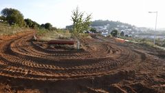 Ampliaci�n del Bosque de Galicia