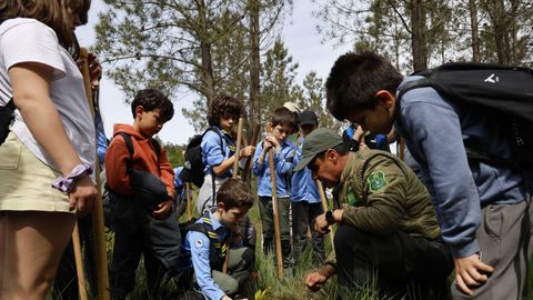 Los integrantes del grupo trabajaron duro en el monte de Toén durante toda la mañana