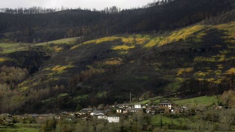 Una visita de la aldea de Vilamor y su entorno cinco meses despus de los incendios del 2022