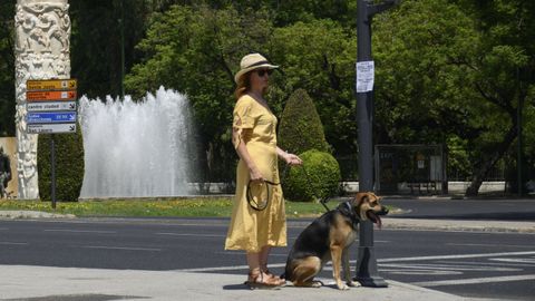 Una mujer pasea a su perro en Sevilla