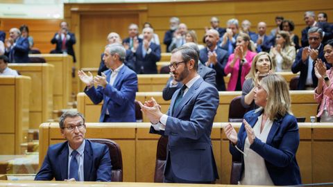 Los senadores del PP aplauden puestos en pie, en presencia de Feijoo, tras la aprobacin definitiva de la reforma de la ley. 