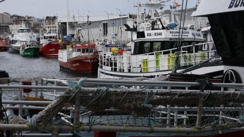 Pesqueros atracados en el puerto de Burela a finales de enero del 2025