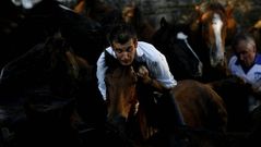 Primer cap�tulo de la Rapa de Sabucedo