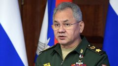 El ministro de Defensa de Rusia, Sergei Shoigu, en una imagen de archivo.