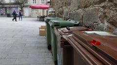 Contenedores de biorresiduos (marr�n) y de fracci�n resto (verde) en el centro hist�rico de Pontevedra 