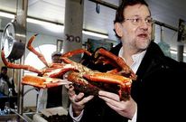 Rajoy, en un mercado, durante su intensa campa�a de proximidad en los �ltimos comicios gallegos.
