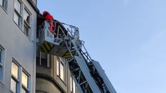 Un especialista retira un gran nido de velutinas en un edificio de la r�a Avelino Pousa Antelo