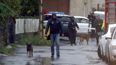 Tras la confesi�n del Chicle, las fuerzas de seguridad lograron localizar el cuerpo sin vida de Diana Quer en una nave abandonada