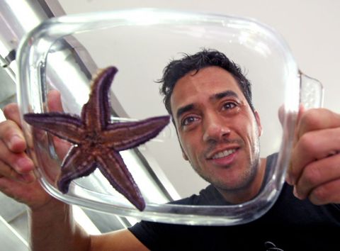 Adem�s de ser embajador del Albari�o de Cambados, Daporta es ahora defensor del tinto. 