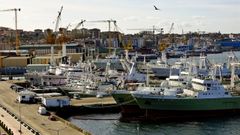 Pesqueros de gran altura y de altura amarrados en el puerto de Vigo en noviembre del 2023