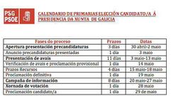 Calendario primarias