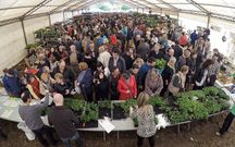 El Concello asegura que los vendedores salieron contentos de la feria.