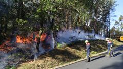Incendio forestal en�Pardi�as