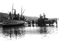 Un barco, en la playa, echando el aparejo a un carro de vacas.