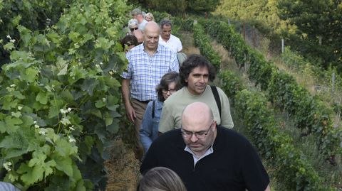 La cata estuvo precedida de un recorrido por los viedos de la bodega
