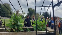 La nueva vida del pazo de Illobre