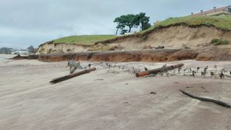 Las borrascas han da�ado de forma muy severa los sistemas dunares de la playa de A Calzoa