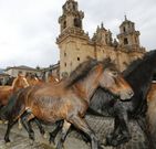 La feria de As San Lucas, con sus caballos, uno de los atractivos.