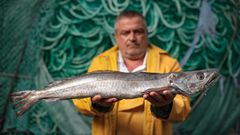 Imagen promocional de la merluza DoNOrte, capturada por barcos de la flota de volanta de Cedeira