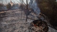 Campo quemado por el incendio registrado en Tres Cantos (Madrid)