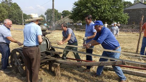 Malla tradicional como parte do programa da Romara Labrega da Chaira, na parroquia dos Vilares, en Guitiriz.