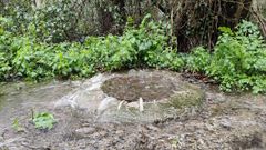 Desbordamiento de aguas residuales en Culleredo