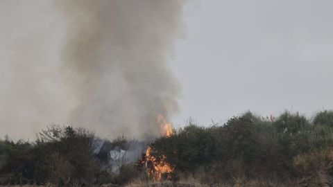 Incendio forestal en Tarro, Culleredo