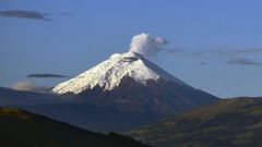 El �lbum del d�a
