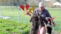 Bousfield juega con dos de sus ocho perros en su finca de Lugo