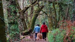 Bosque encantado de Ald�n