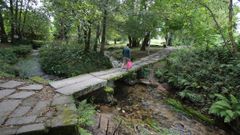 El parque de A Coca en im�genes