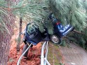 El coche, al borde de un terrapl�n, impact� con una barandilla y un �rbol. 