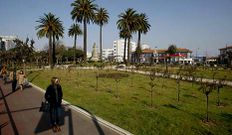 El Ayuntamiento pretende mejorar el �rea de la Rosaleda.