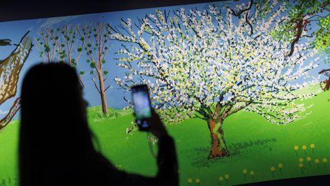 Cuadro en exposici�n de�David Hockney.