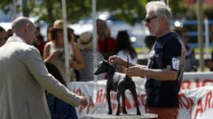 �Mira aqu� las im�genes del concurso nacional canino celebrado en Porto do Son!
