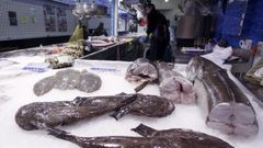 Lenguados, rapes y merluzas, en una pescader�a gallega (foto de archivo)