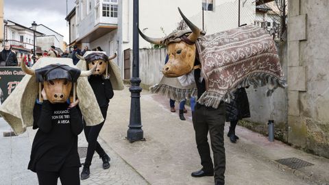 Desfile del domingo gordo de Viana do Bolo.