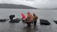 Mariscadoras de Cari�o siembran almeja jap�nica en la r�a