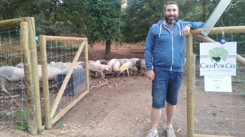 Martin Touceda. Cenlle. La primera aldea modelo de Galicia le trajo una oportunidad bajo el brazo. En ella ha puesto en marcha este a�o una explotaci�n  de ciclo cerrado en extensivo de porco celta en producci�n ecol�gica, toda levantada con materiales respetuosos con el medio ambiente. Los dos primeros a�os comercializar�a los animales cebados, pero la idea es hacer embutido con marca propia en el futuro.