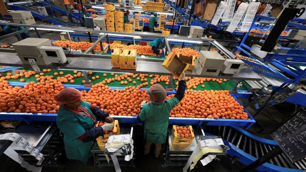 Imagen de una planta de procesado de naranja en Citrusdal, una de las mayores regiones productoras de naranjas en Sud&aacute;frica