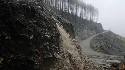 Escorrent�a formada en una zona quemada el verano pasado, en la Ribeira Sacra.