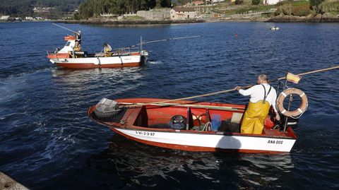 Embarcaciones del marisqueo a flote regresando a la lonja de Campelo despus de un da de trabajo