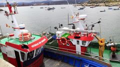Tendr�n que usar otro tipo de aplicaci�n para transmitir las cifras casi en tiempo real