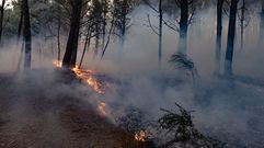 Ponteceso sufri� una grave ola de incendios en agosto del 2025 que tambi�n afect� a Corme Aldea 
