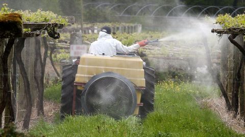 La encuesta deja claro que el azufre es el producto m&aacute;s utilizado para el control curativo y preventivo de las enermedades