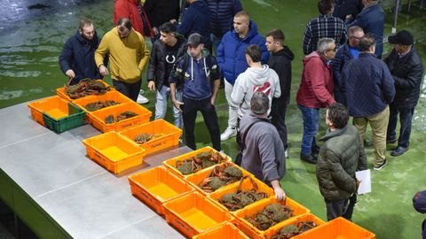 Inicio de la campaa de la centolla en la lonja de Bueu