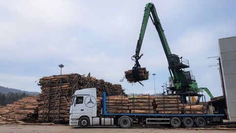 Camiones descargando madera en Ence Navia: cada da entran en la factora unos 300