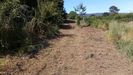 Estado en el que qued� la finca tras el desbroce.